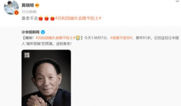 美国91岁健忘症爷爷直播,回忆与生活的奇妙交织”